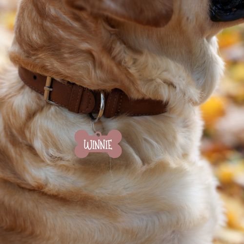 Etiquetas para mascotas: personalícelas con una foto en un lado y información de contacto en el otro; elija entre forma de hueso, forma de corazón o redonda.