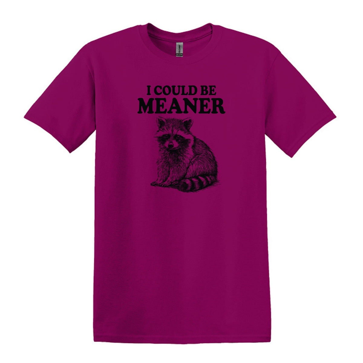 I Could Be Meaner - Funny Raccoon Meme - Gildan Heavy Cotton Unisex T-shirt