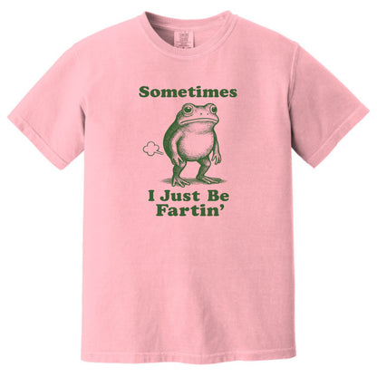 Sometimes I Just Be Fartin' - Funny Frog T-shirt