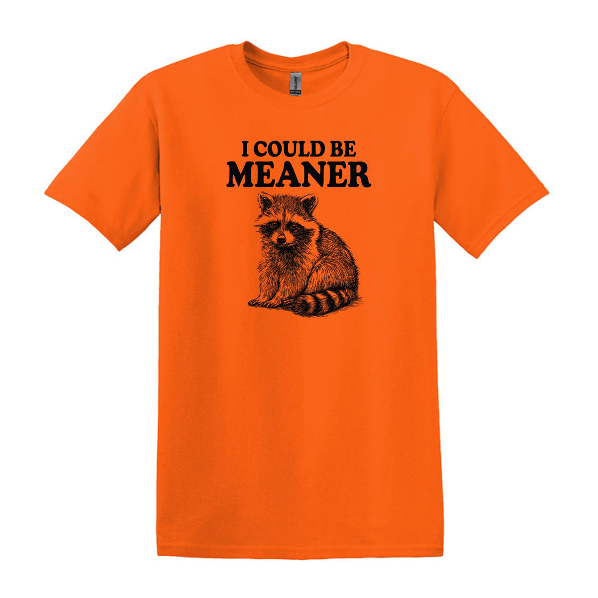 I Could Be Meaner - Funny Raccoon Meme - Gildan Heavy Cotton Unisex T-shirt