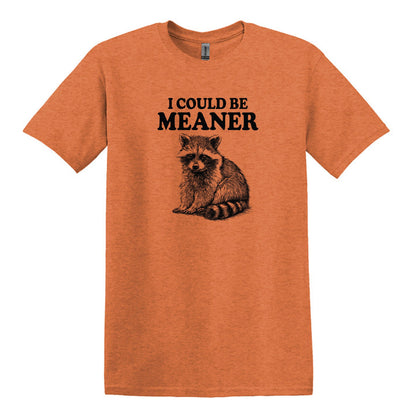 I Could Be Meaner - Funny Raccoon Meme - Gildan Heavy Cotton Unisex T-shirt