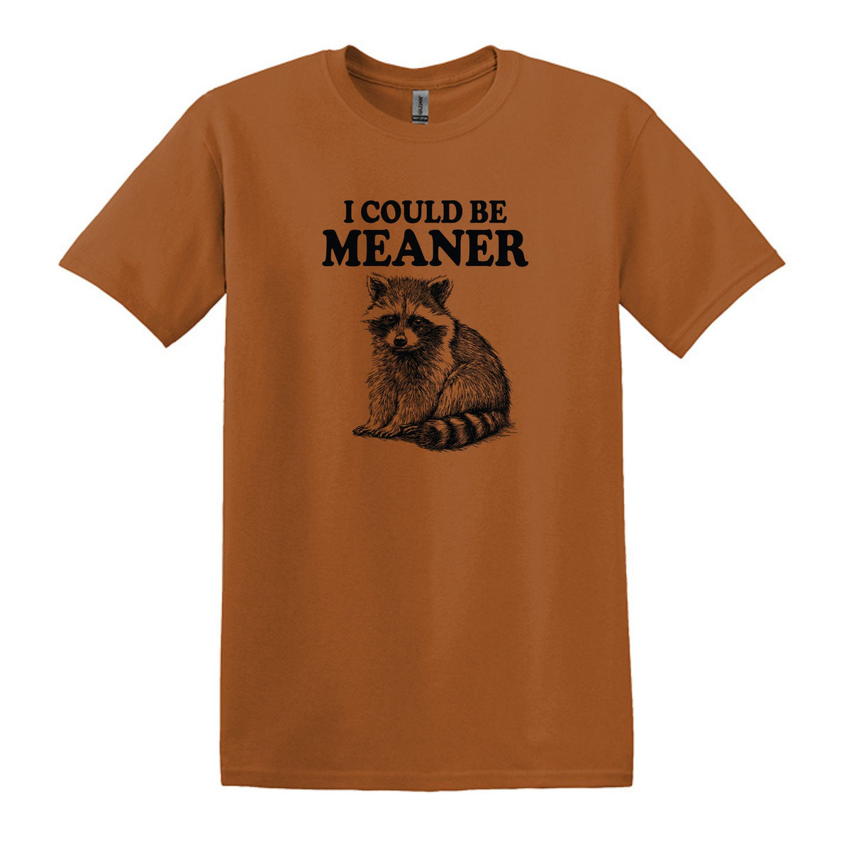 I Could Be Meaner - Funny Raccoon Meme - Gildan Heavy Cotton Unisex T-shirt