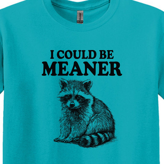I Could Be Meaner - Funny Raccoon Meme - Gildan Heavy Cotton Unisex T-shirt