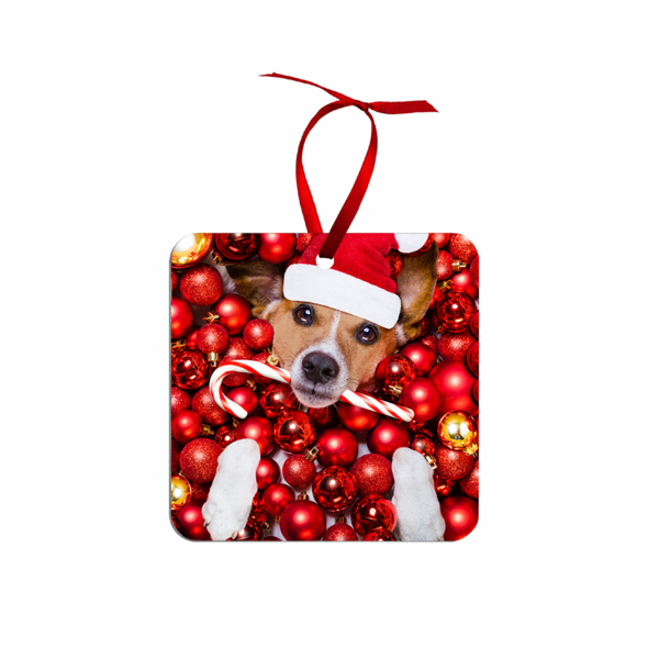 Custom Photo Ornaments and Tags - Available in many sizes and shapes