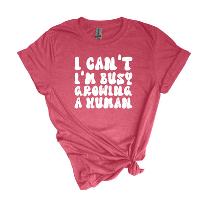 I can't.  I'm busy growing a human.  - Cute Pregnancy T-shirt